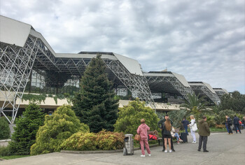 Процесс выдачи багажа в аэропорту Сочи стал проще 