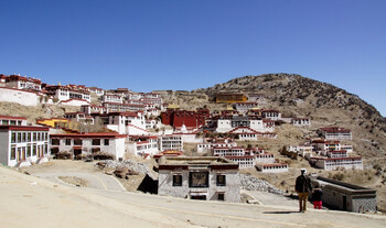 В Тибете произошло землетрясение, погибли почти 100 человек 