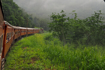На Шри-Ланке погибла туристка из РФ при попытке сделать селфи в поезде