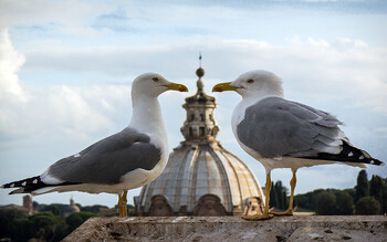 Туристы из РФ возвращаются в Европу