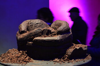 В Стамбуле пройдёт фестиваль шоколада