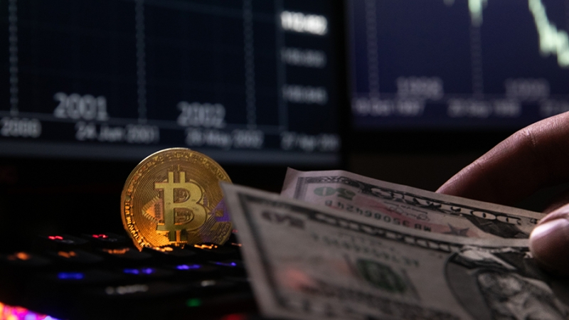 Эксперт дал советы по распознаванию криптомошенников