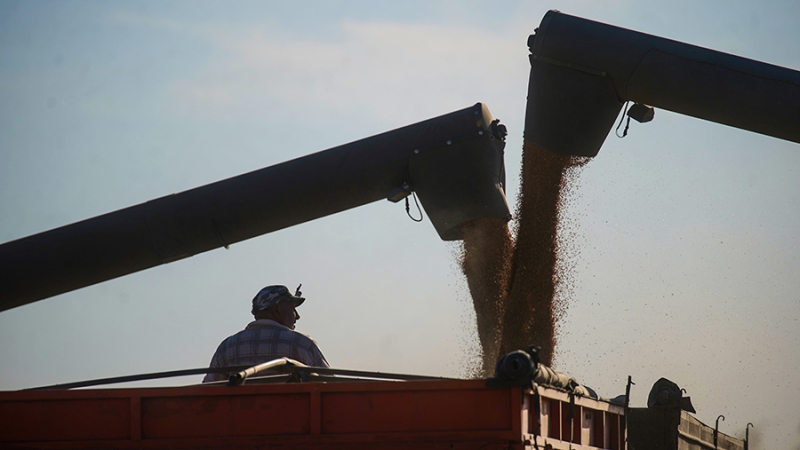 Эксперт предрек положительный эффект в случае реализации черноморской инициативы