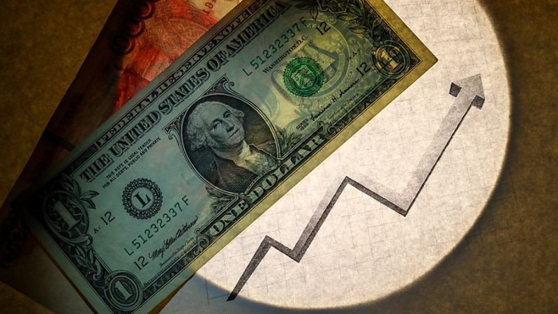 Международные резервы России превысили $650 млрд и установили исторический рекорд