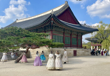 Туристку из РФ не пустили в Южную Корею из-за ошибки в адресе отеля