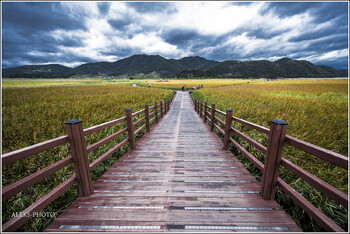 В туристических местах Южной Кореи возникли сильные природные пожары 