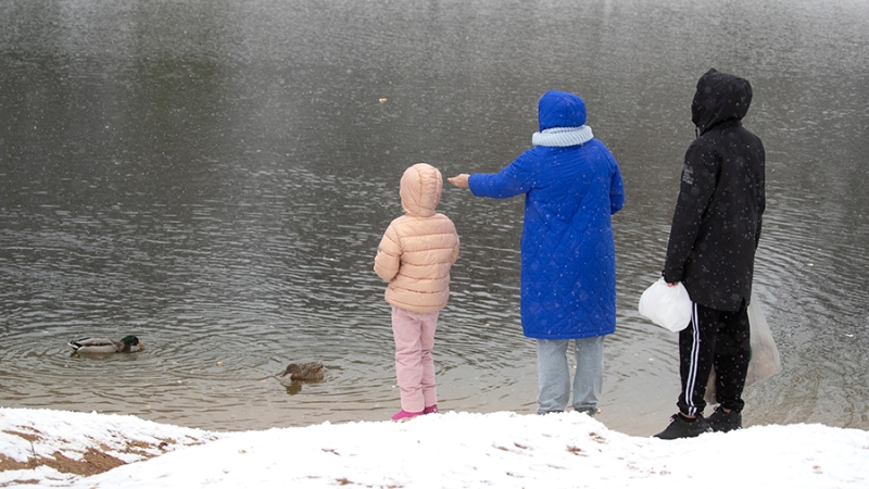 Юрист рассказал о новом налоговом кешбэке для семей с детьми