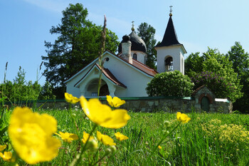 Музей-заповедник «Поленово» временно приостановит экскурсии 