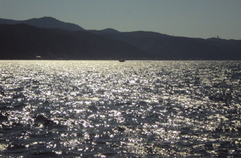 Новые выбросы мазута появились на пляжах Анапы 