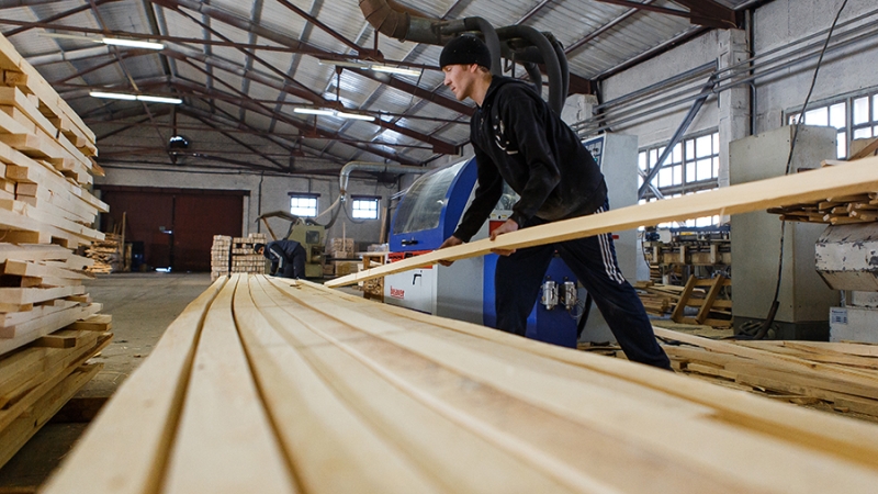 Путин сообщил о запуске трех деревоперерабатывающих предприятий в регионах РФ