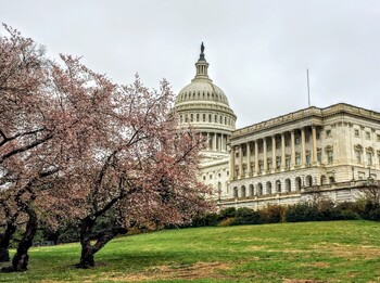 Туристы из Европы отменяют поездки в США