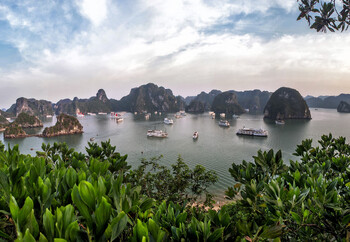 Вьетнам разрабатывает новые типы виз 