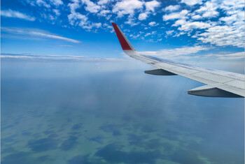 Многие прекратившие полёты в РФ страны готовы возобновить авиасообщение