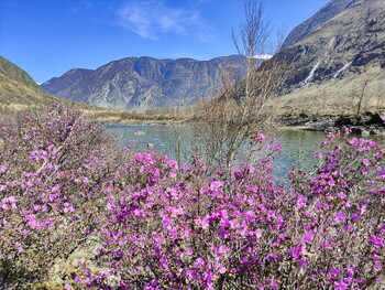 На Алтае произошло землетрясение 