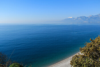 На пляже Анталии туристы заметили двухметровую акулу