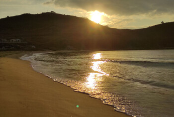 Паромы из Владивостока на северокорейский курорт Вонсан-Калма запустят в июне