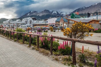 Серия мощных землетрясений произошла в Южной Америке  