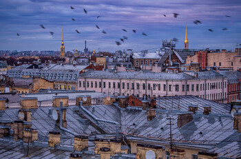 В Петербурге более 50 туристов застряли на крыше во время экскурсии