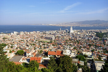 В Турции начались лесные пожары