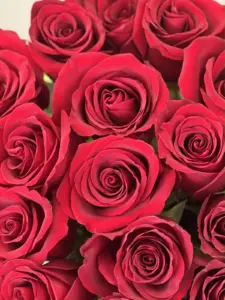 Шикарные букеты из роз: искусство цветочности и роскоши