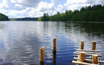 Мост Леонардо да Винчи появился на Большой Валдайской тропе