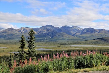 На Аляске произошло сильное землетрясение