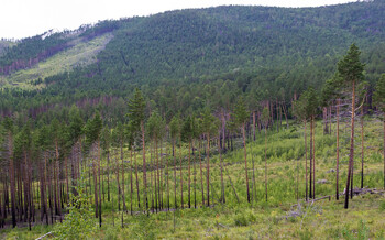 На Байкале турист погиб, сорвавшись со скалы