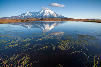 На Камчатке произошла серия землетрясений магнитудой до 7.4
