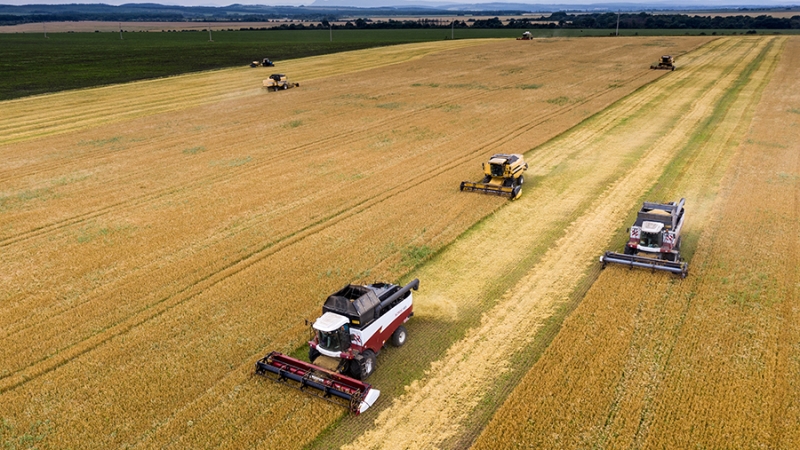 Патрушев назвал уборочную кампанию одним из ответственных этапов сельхозотрасли