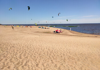 Роспотребнадзор: все пляжи Петербурга непригодны для купания 