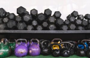 Спортивное оборудование для тренажерных залов: от выбора до эксплуатации