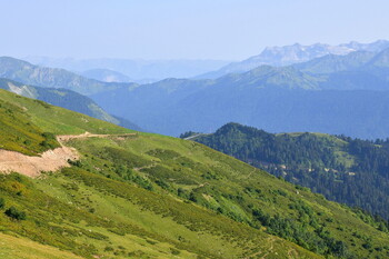 В горах Сочи спасли заблудившихся туристов 