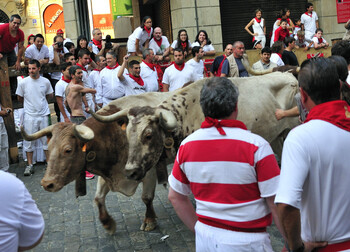 В Испании во время забега быков пострадали восемь человек