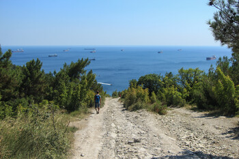 В районе Геленджика возник лесной пожар