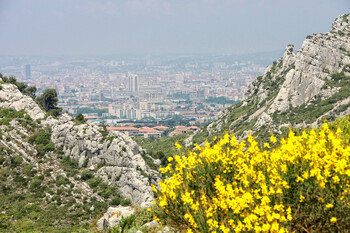 Во Франции мощный лесной пожар достиг Марселя, жителей эвакуируют 
