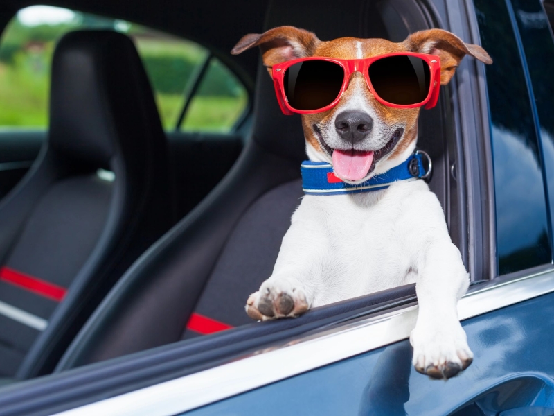 Август – время подарков: Kolesa.ru объявляют о старте нового конкурса в Telegram-канале