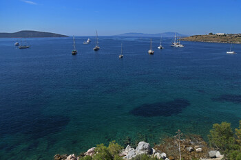 У побережья турецкого Бодрума появились акулы