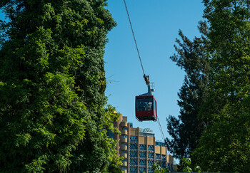 В Дендрарии Сочи запустили канатную дорогу 