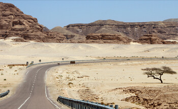 В Египте в ДТП с автобусом пострадали 39 россиян, одна туристка погибла