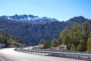 В Турции в ДТП попал автобус с российскими туристами 