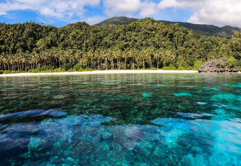  Для въезда в Индонезию с 1 сентября туристы обязаны заполнять декларацию