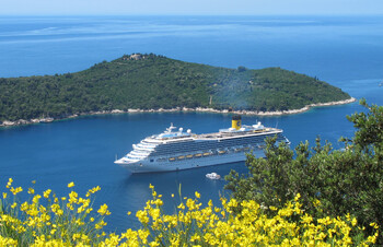 Круизную линию между Дальним Востоком, КНР и КНДР могут запустить до конца года 