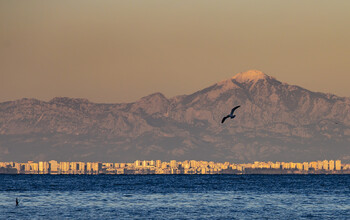 Лесные пожары бушуют рядом с турецкими курортами 