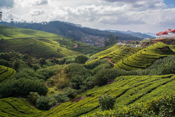 На Шри-Ланке из-за аварии на канатной дороге погибли буддистские монахи, в том числе из РФ