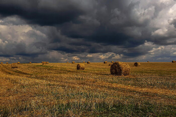 Польша откроет границу с Белоруссией
