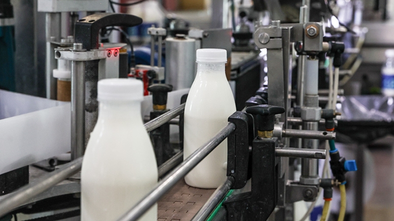 Россия хочет усилить присутствие молочки в Африке, Азии и на Ближнем Востоке