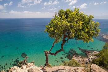 Кипр приостановил приём заявлений на визы у турагентств