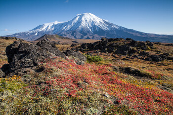 На Камчатке произошло сильное землетрясение 