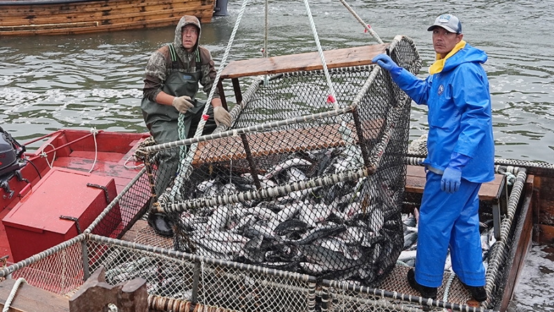 Патрушев указал на сохранение РФ места в пятерке ведущих рыболовных держав