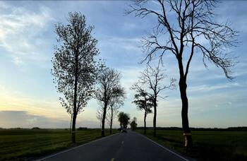 Под Калининградом произошла авария с туристическим автобусом